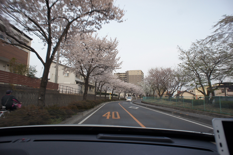 a0222229_362493.jpg