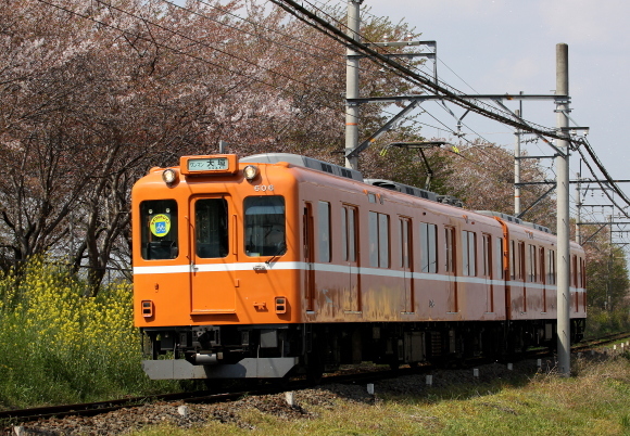 b0314633_15240638.jpg