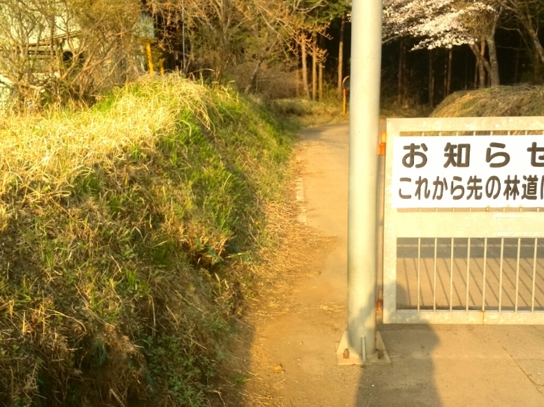 d0378837_07115675.jpg
