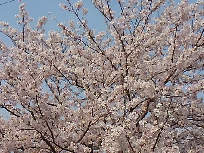 d0244839_11285887.jpg
