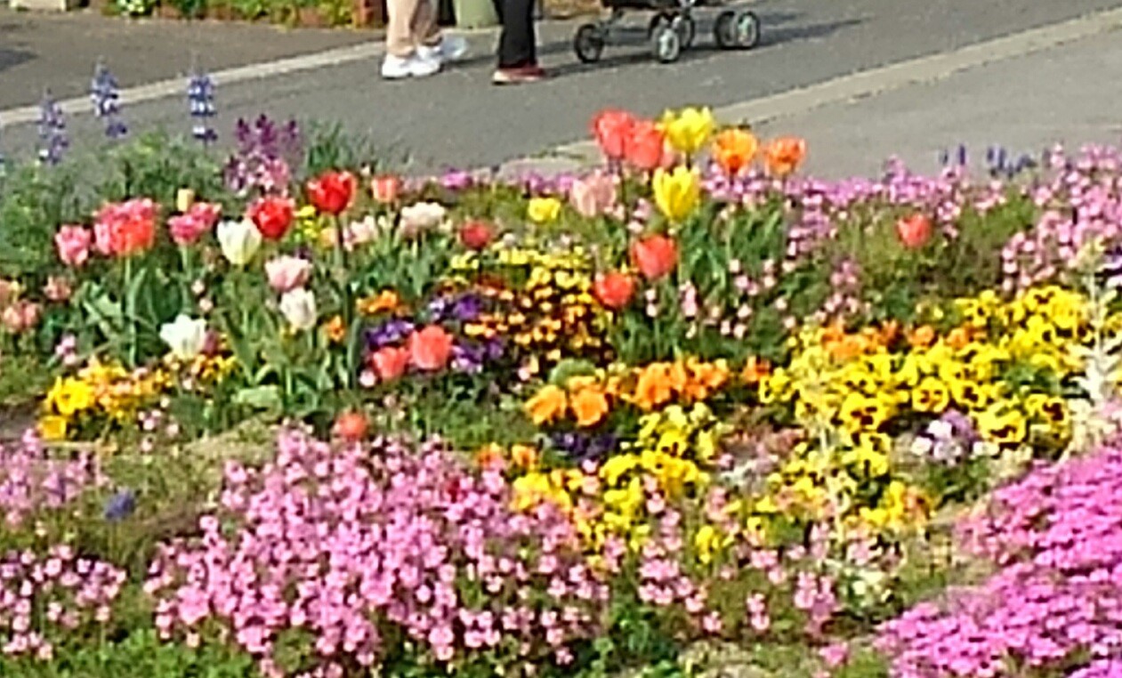 d0244839_11290899.jpg