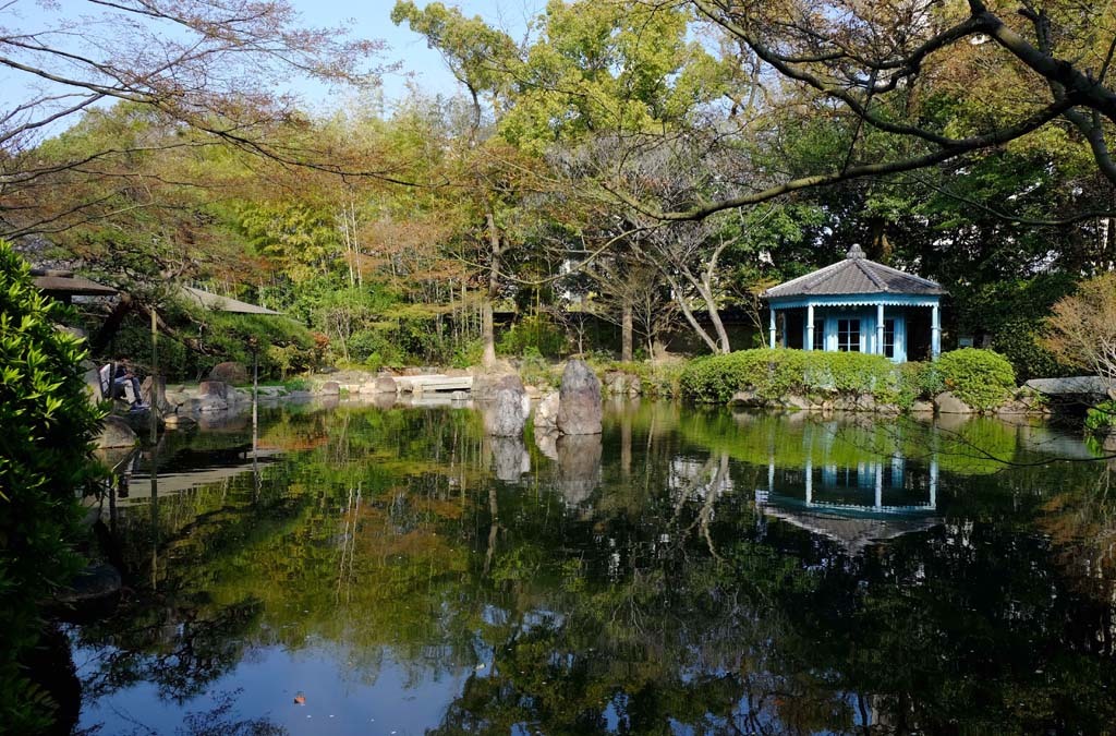 四天王寺の桜@2018-03-25_d0250840_20102460.jpg