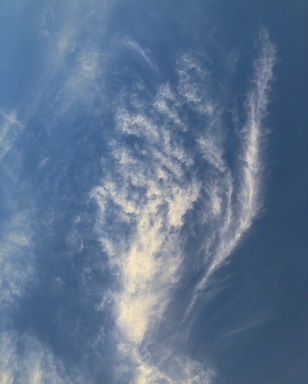 d0367842_12123510.jpg