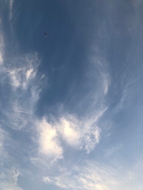 d0367842_12124125.jpg