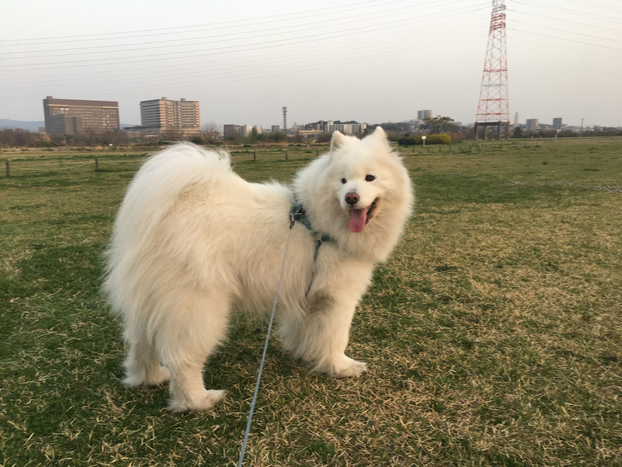 お花見三昧_f0128542_02211797.jpg