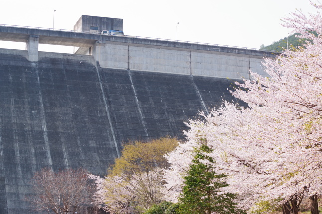 f0207943_10212279.jpg