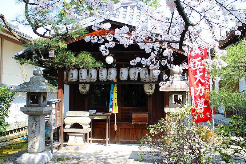 聖護院「積善院準提堂」20180328_e0237645_00294950.jpg