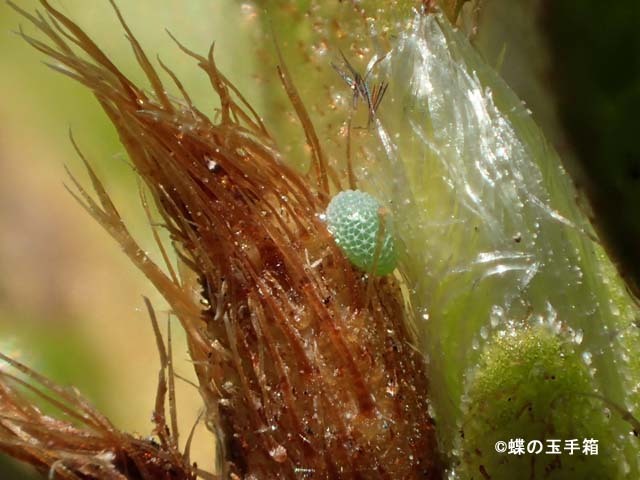 b0107948_19121567.jpg