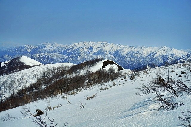 b0122448_20433247.jpg