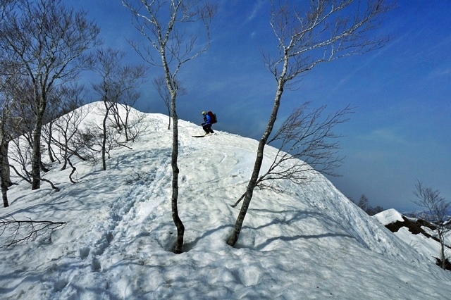 b0122448_20464472.jpg