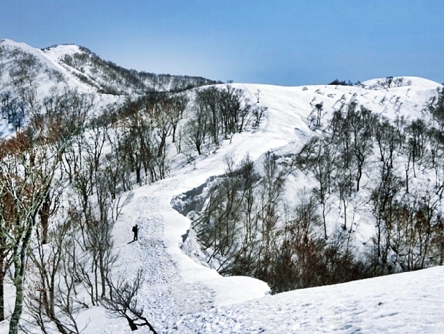 b0122448_21153264.jpg