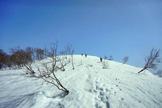 b0122448_21482227.jpg