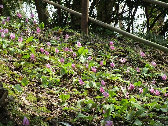 c0327752_10315833.jpg