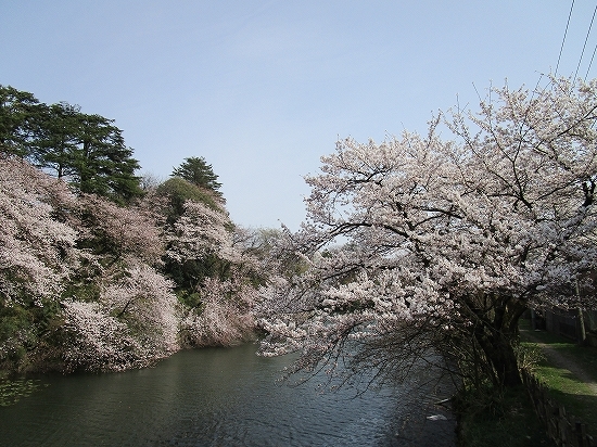 c0327752_10391051.jpg