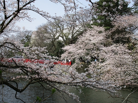 c0327752_10400017.jpg