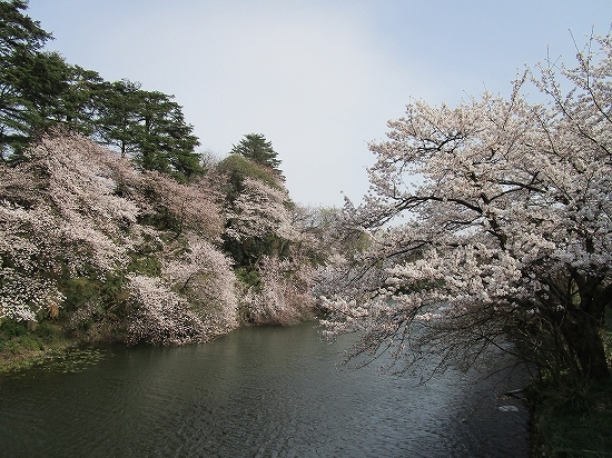 c0327752_10405432.jpg
