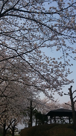 a0208560_12445927.jpg