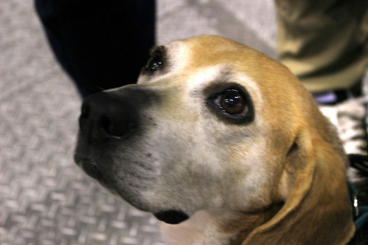 c0372561_20321249.jpg