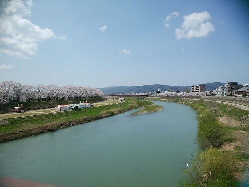 青春18きっぷ　in　福井　満開の桜_a0331562_15201947.jpg