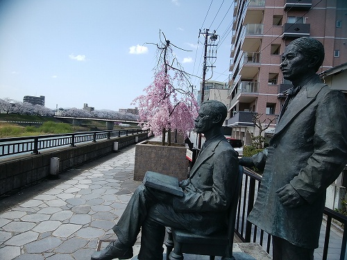 青春18きっぷ　in　福井　満開の桜_a0331562_2212525.jpg