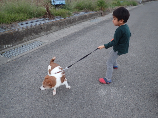 幼稚園で少し泣く 人間の育て方 幼稚園で少し泣く 人間の育て方
