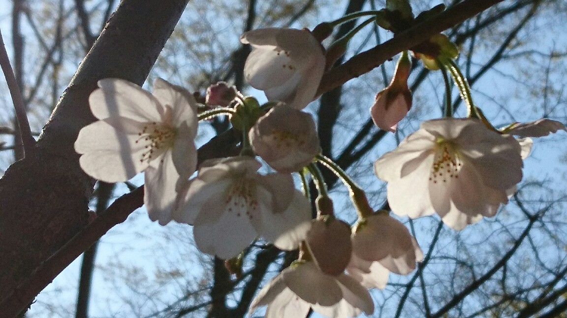f0219773_00291840.jpg