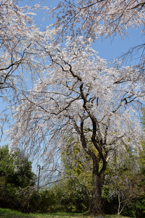 f0108478_20300241.jpg
