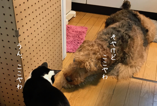 a0216583_11185189.png