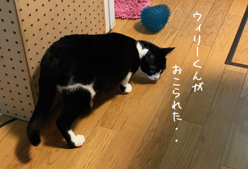 a0216583_11185487.png