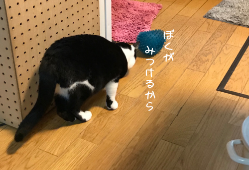 a0216583_11185882.png
