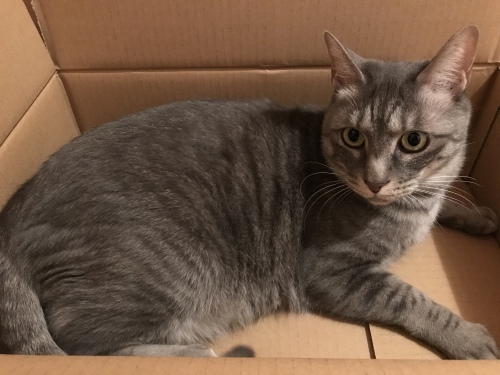 c0340786_09320215.jpeg