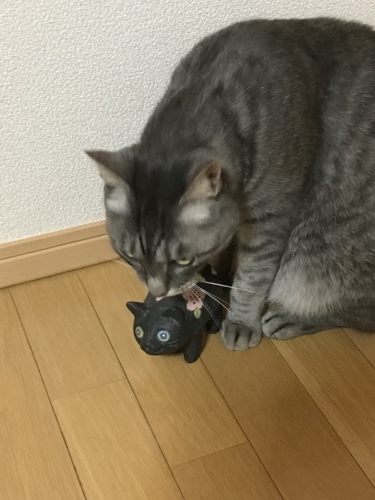 c0340786_09324020.jpeg