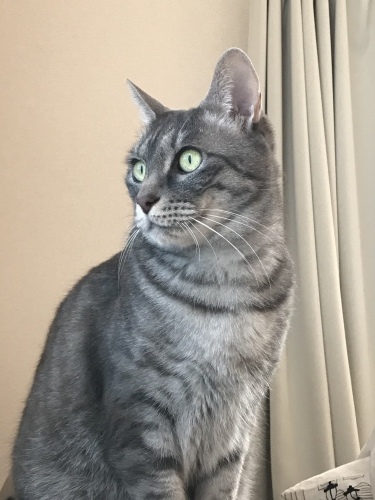 c0340786_09330445.jpeg