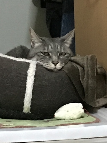 c0340786_09333488.jpeg