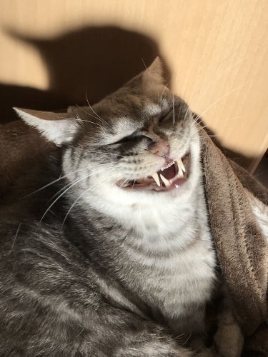 c0340786_09340826.jpeg