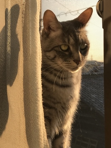 c0340786_09352359.jpeg
