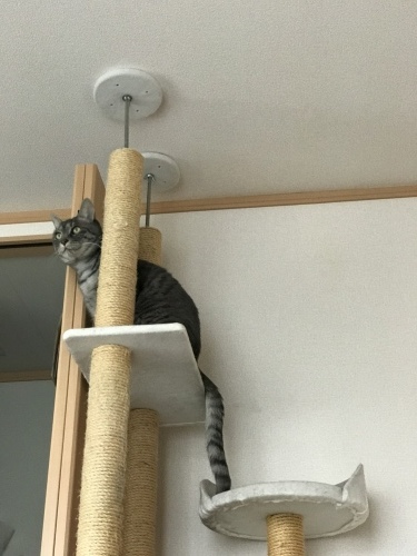 c0340786_09370259.jpeg