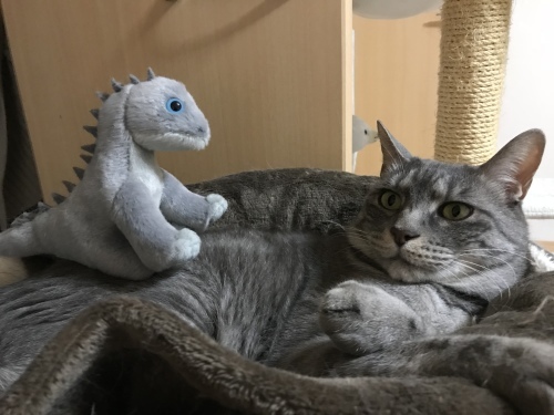 c0340786_09373216.jpeg