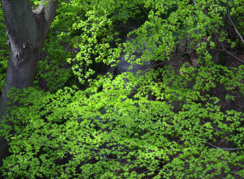 a0211291_00412452.jpg