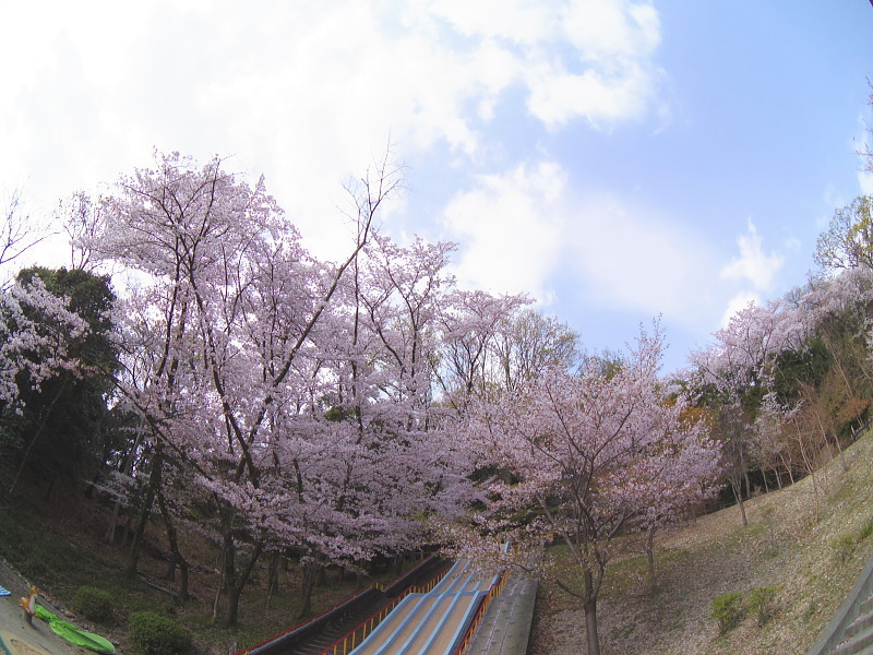 a0211291_00412501.jpg