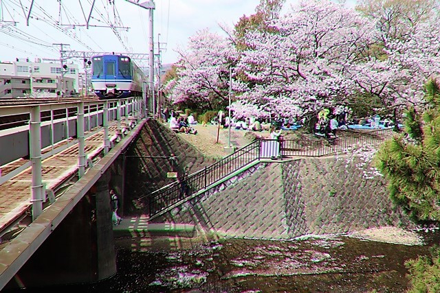 藤田八束の鉄道写真＠春爛漫貨物列車写真は最高です、カシオのデジカメとキヤノンの一眼で素敵な写真_d0181492_00091533.jpg