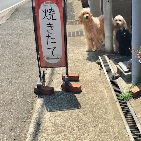 d0343297_06150998.jpeg