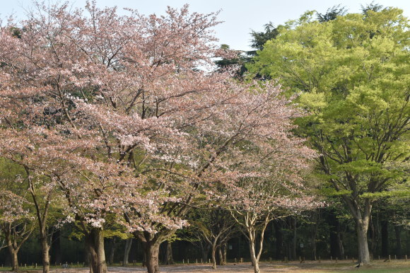 a0288500_16485617.jpg