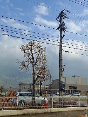 c0336902_18264296.jpg