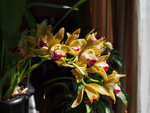 c0117007_21180327.jpg