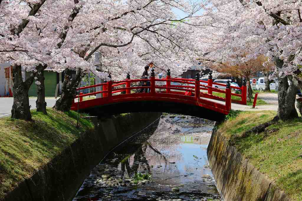 桜の咲く風景♪♪♪_e0372207_23300169.jpg
