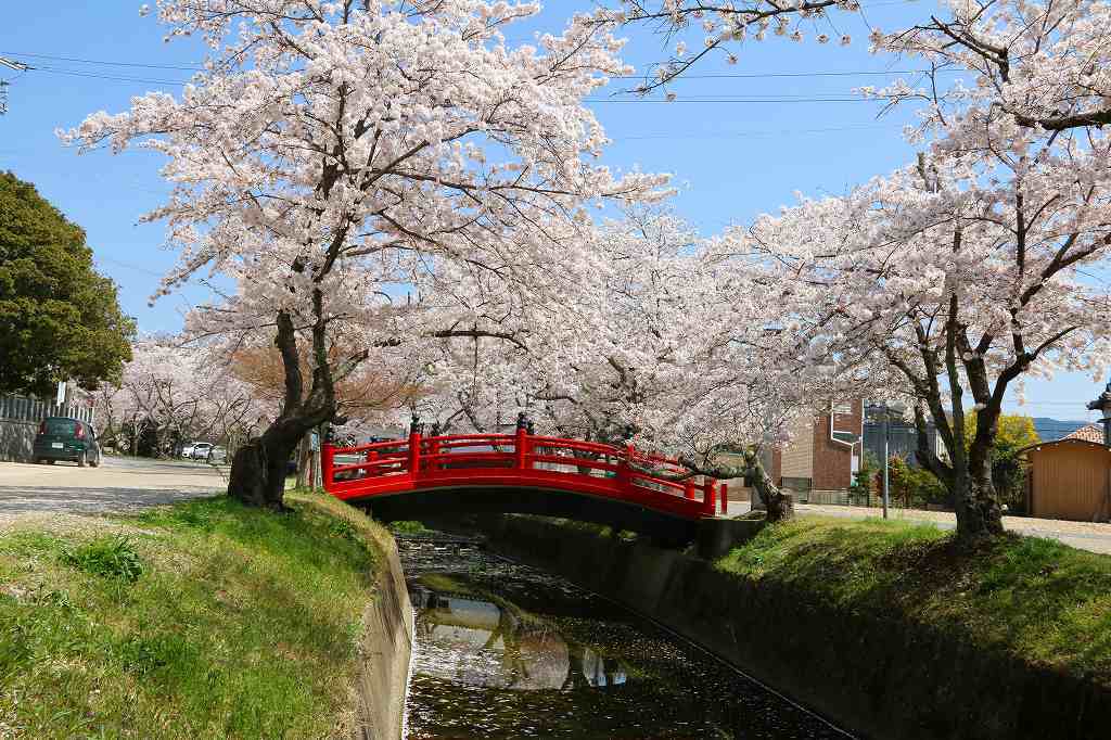 桜の咲く風景♪♪♪_e0372207_23300987.jpg