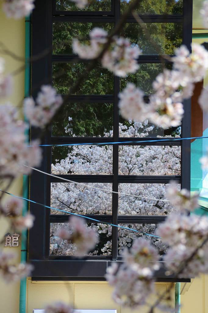 桜の咲く風景♪♪♪_e0372207_23303861.jpg
