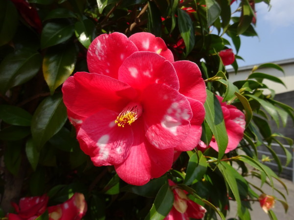 f0231709_15103890.jpg