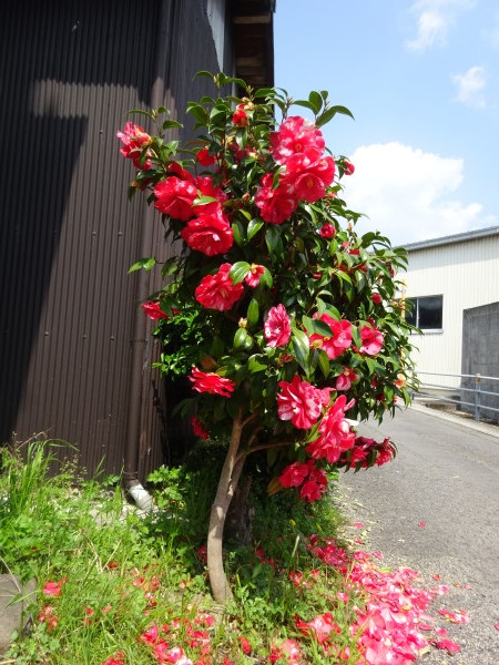 f0231709_15121023.jpg